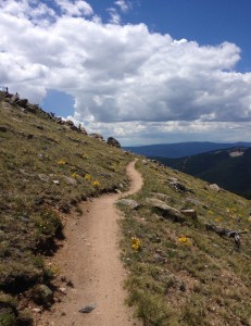 cresttrailbeauty